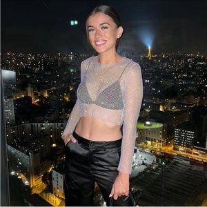 Zara SHIMMER MESH CROP TOP